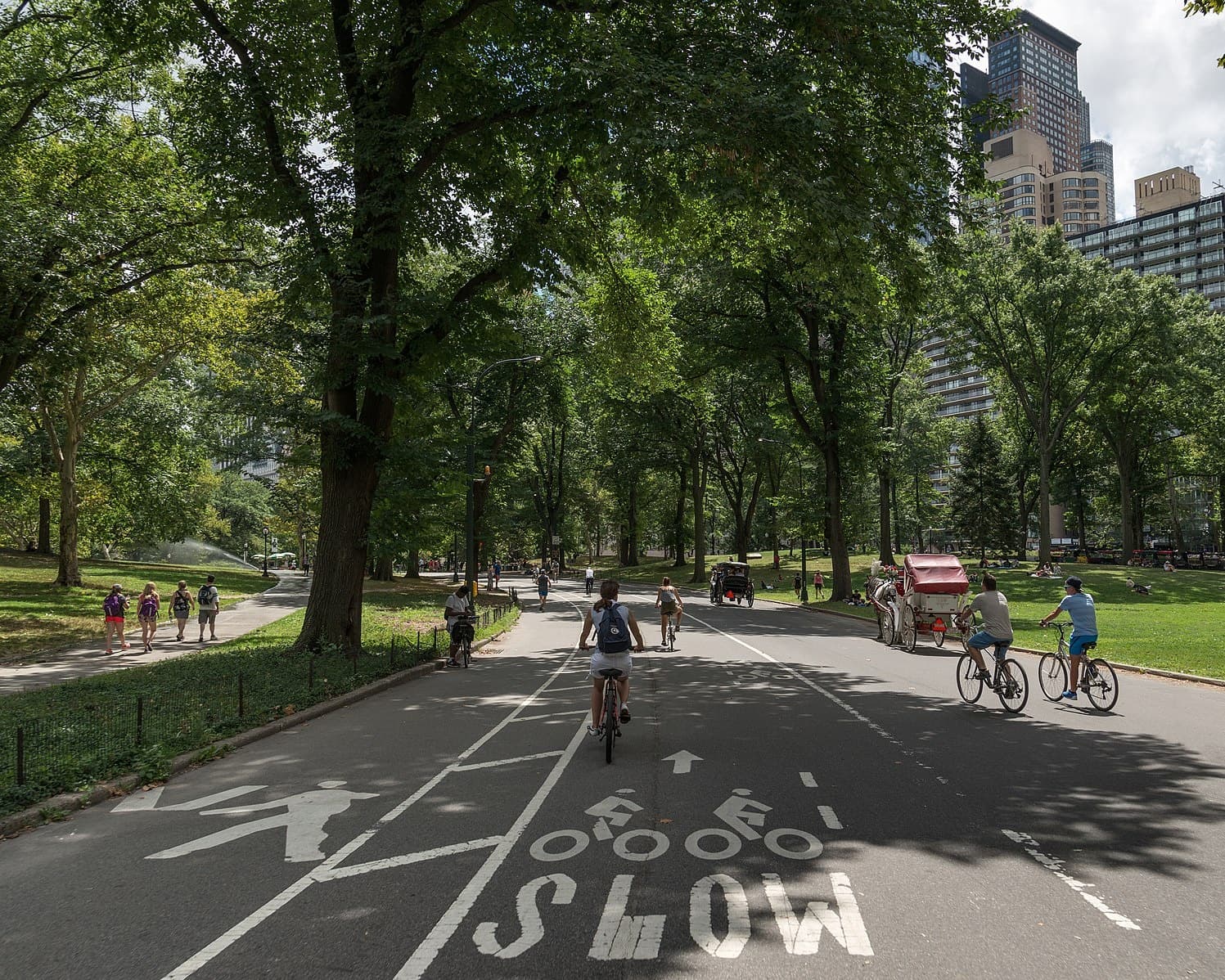 Central Park & NYC Bike Rental