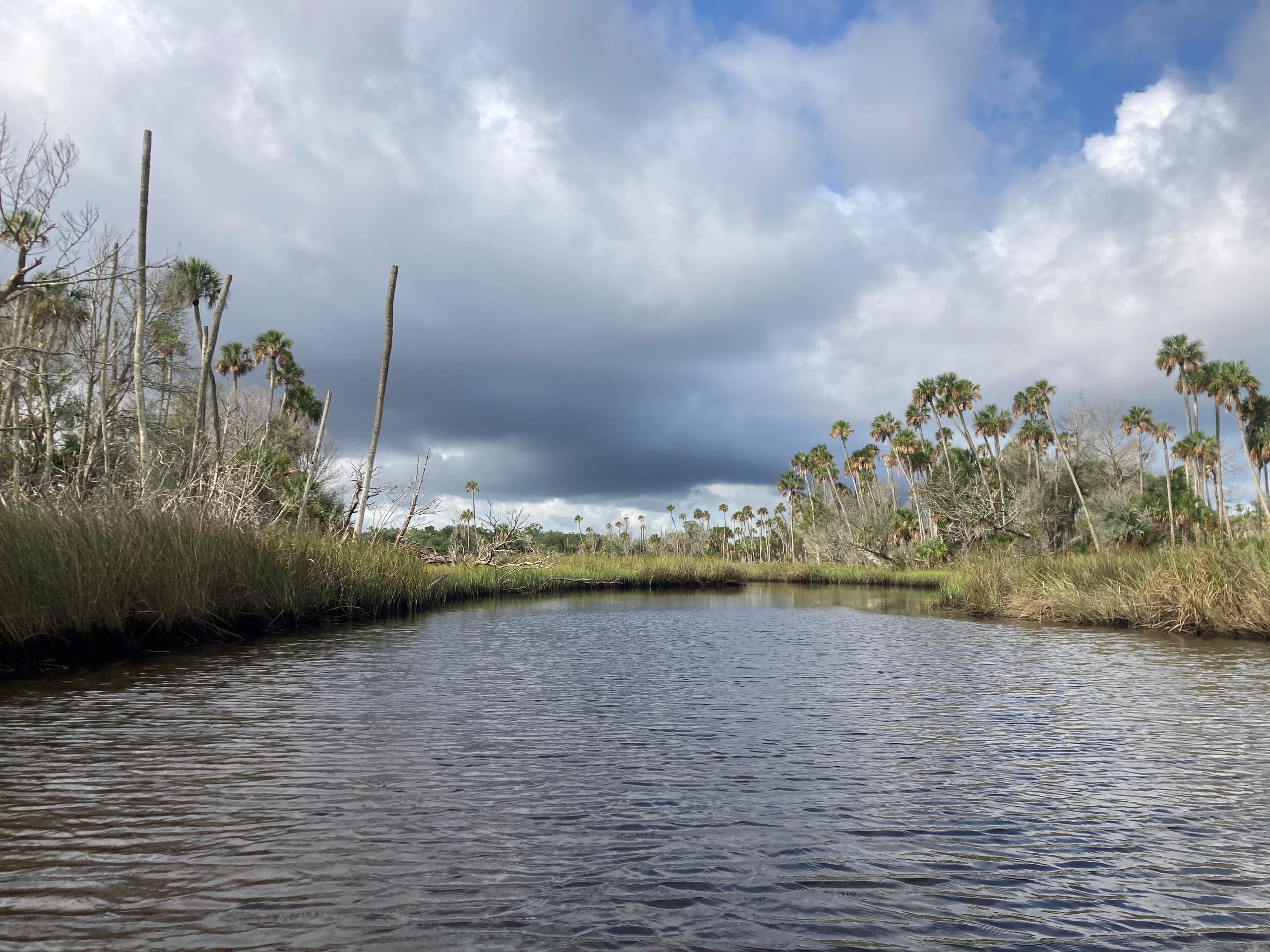 Scenic Nature Guided Kayak Tour