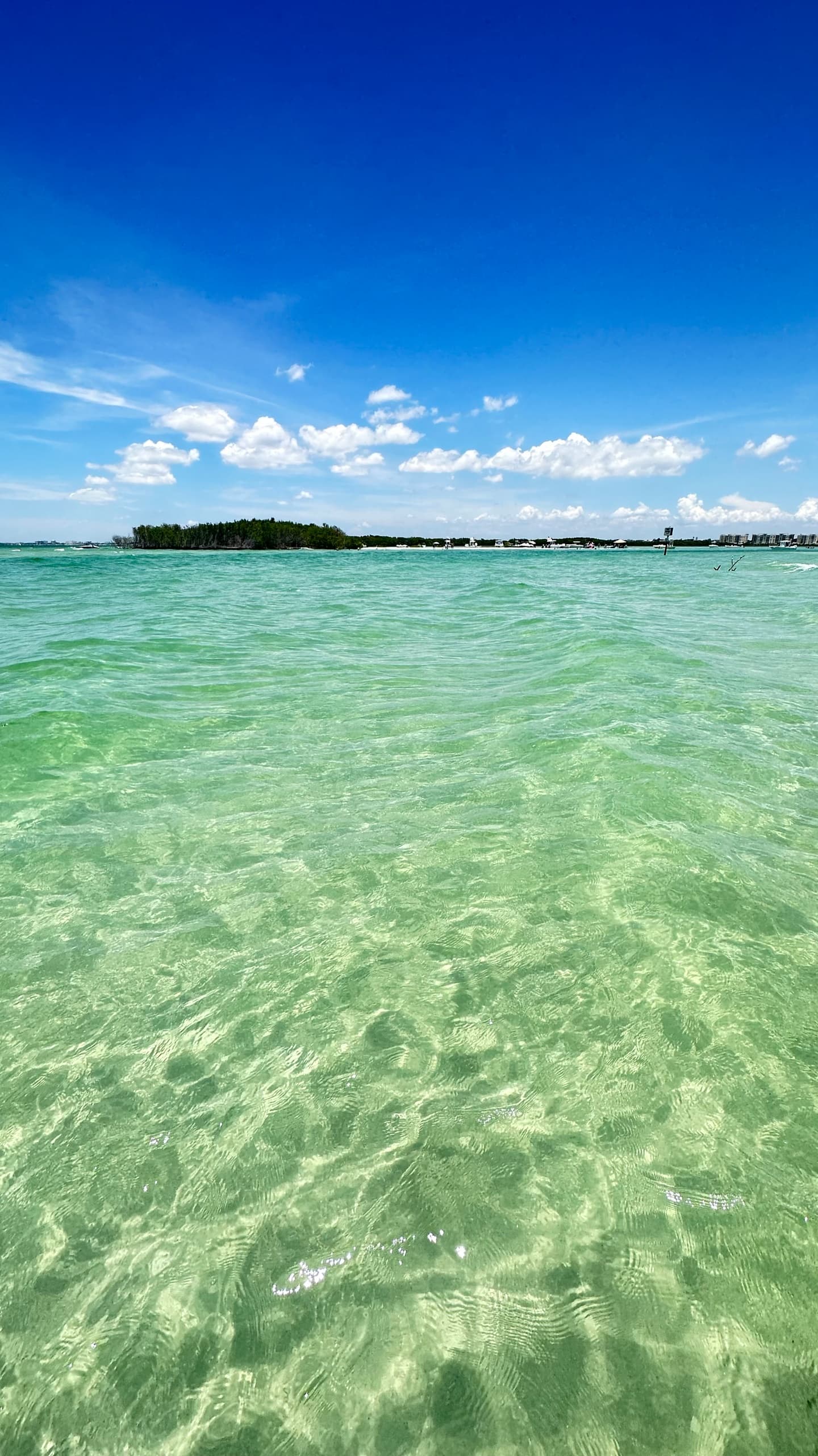 Sandbars, Snorkeling & Sea Shelling guided kayak tour
