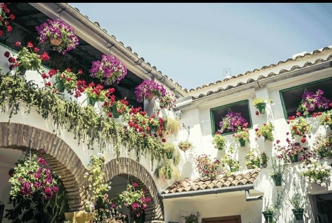 Visita guiada por los patios de Córdoba