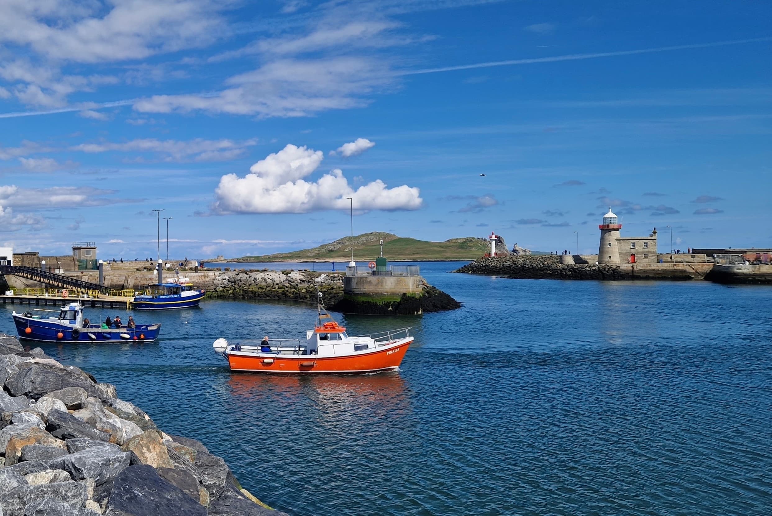 Harbour Walk & Coastal Boat Tour Combo - PRIVATE GROUP