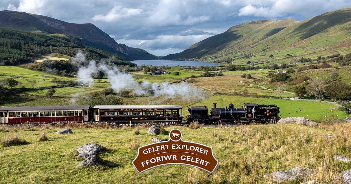 Gelert Explorer - Gold