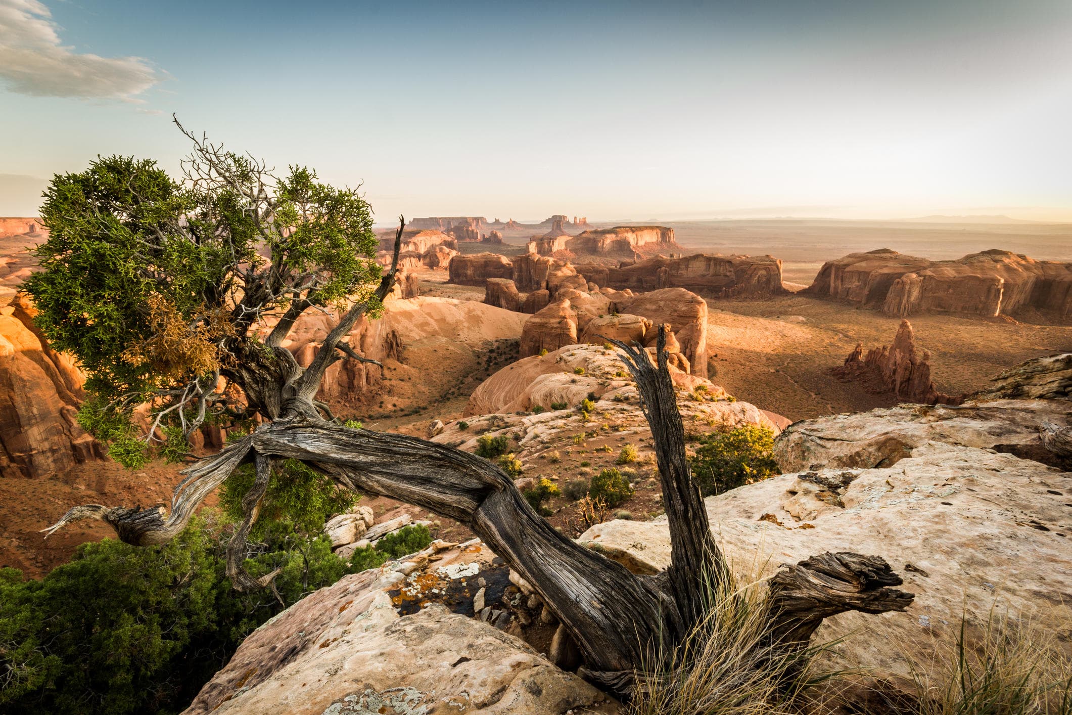 18 Hour Hunts Mesa Overnight Tour