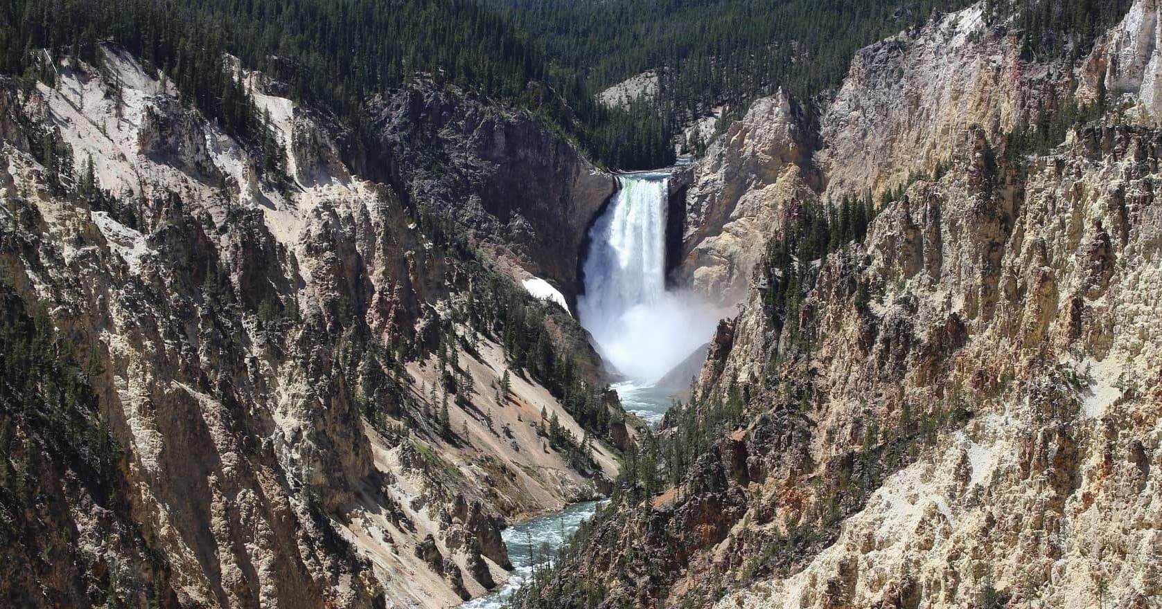 Yellowstone Wildlife & Scenic Day Private Tour