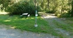Camp Site 15