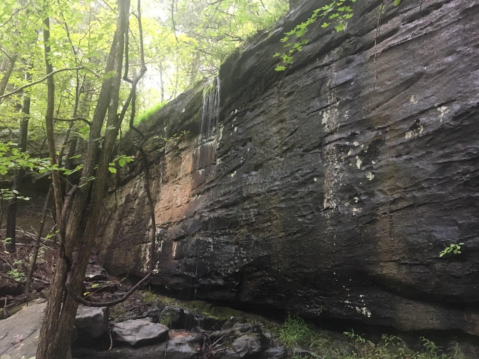 Panther Falls Camp - Primitive Tent Camping