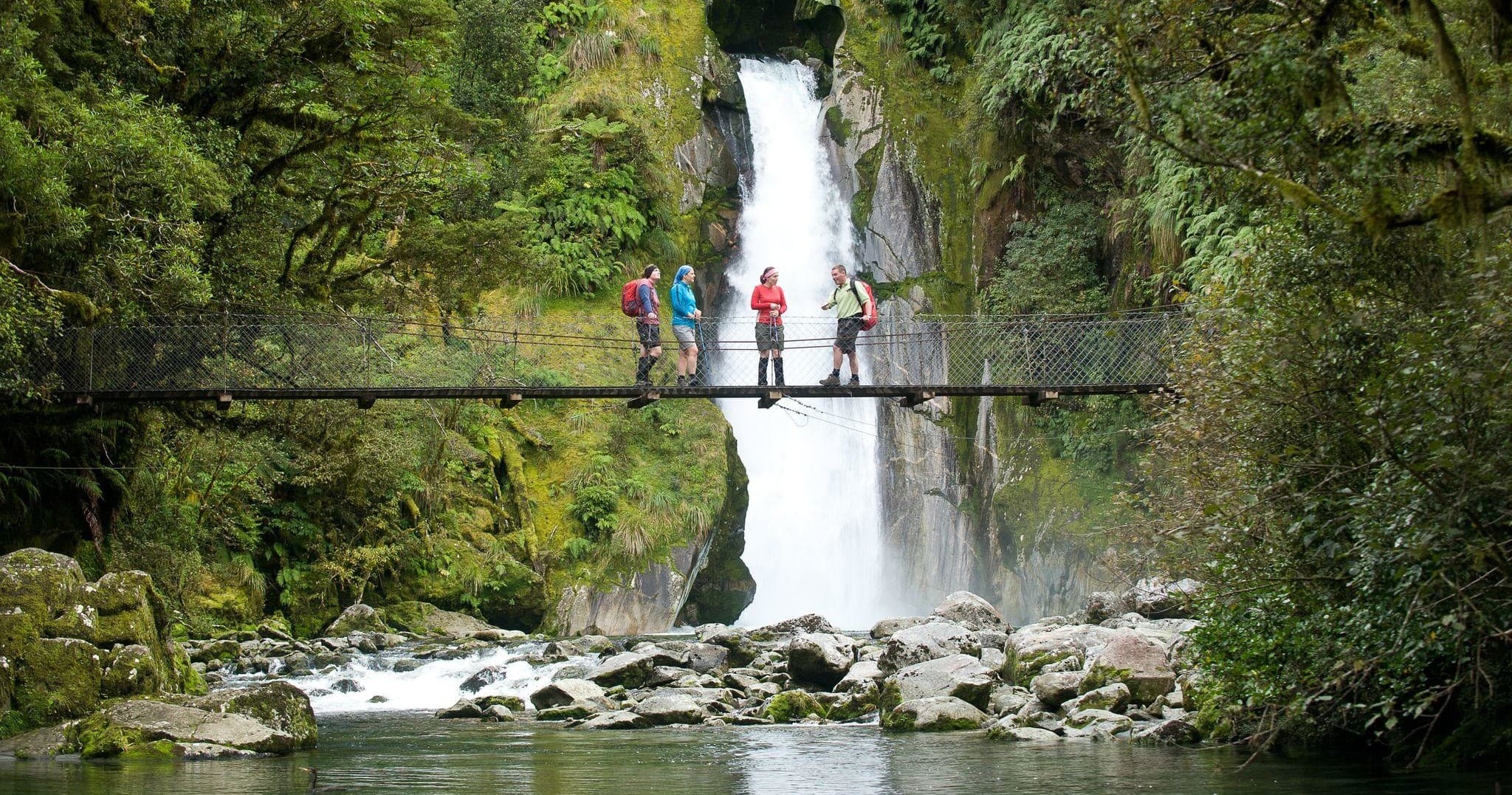 Milford Sound Cruise & Milford Track