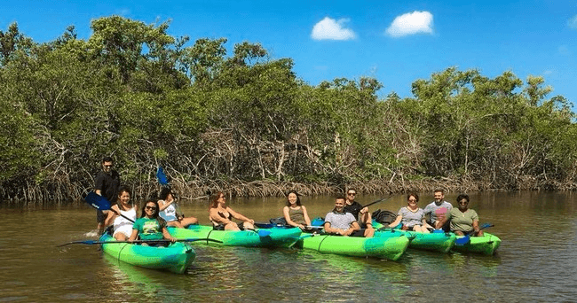 7 Hour Kayak and Paddleboard Rental at AWE Marina