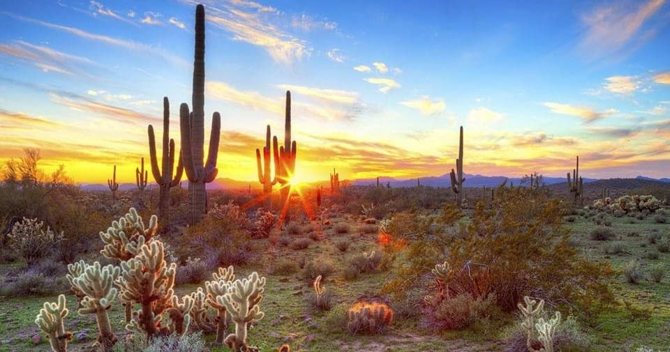Scenic Sonoran Stroll