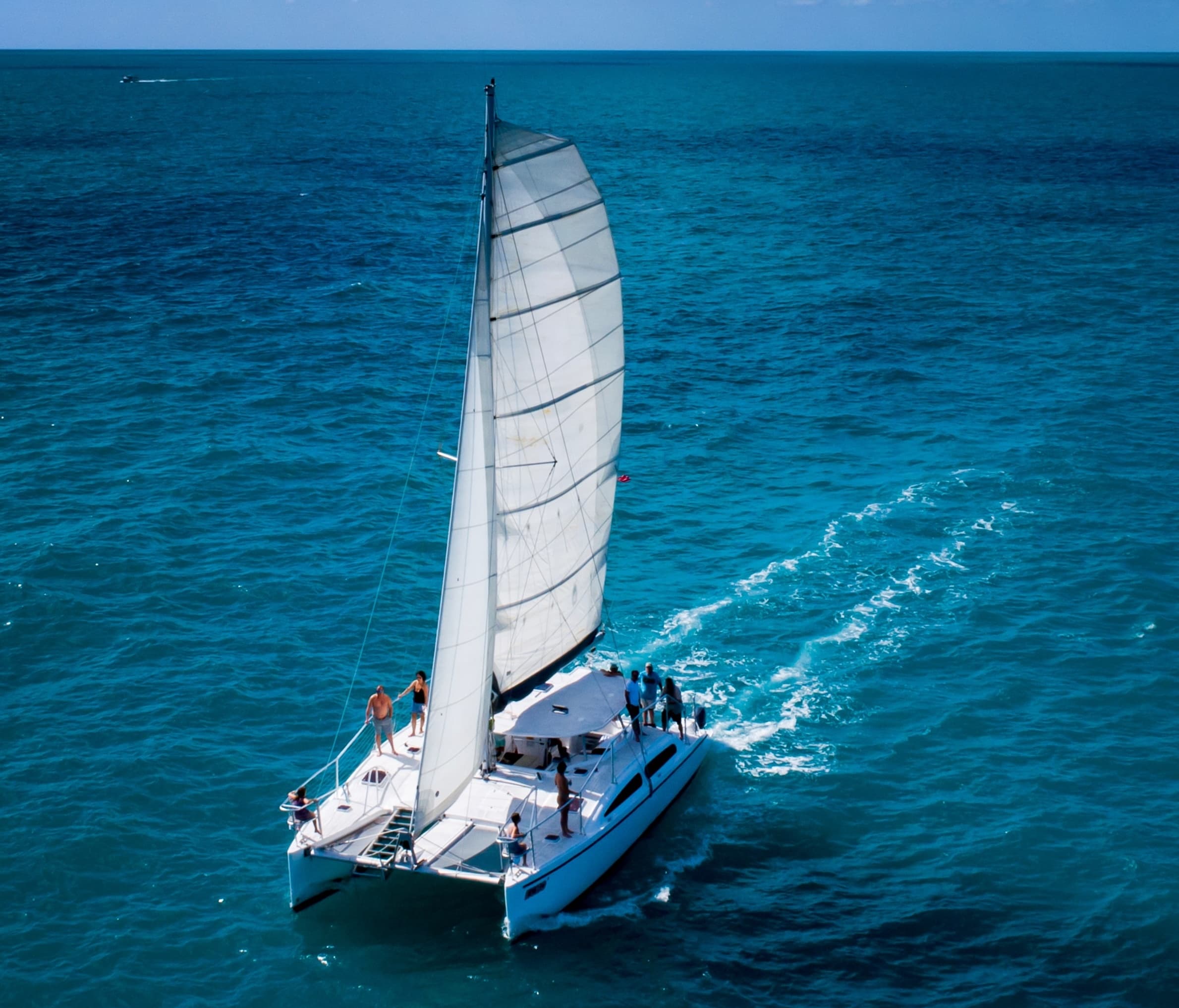 Champagne Dolphin Sail & Reef Snorkel - Echo 3