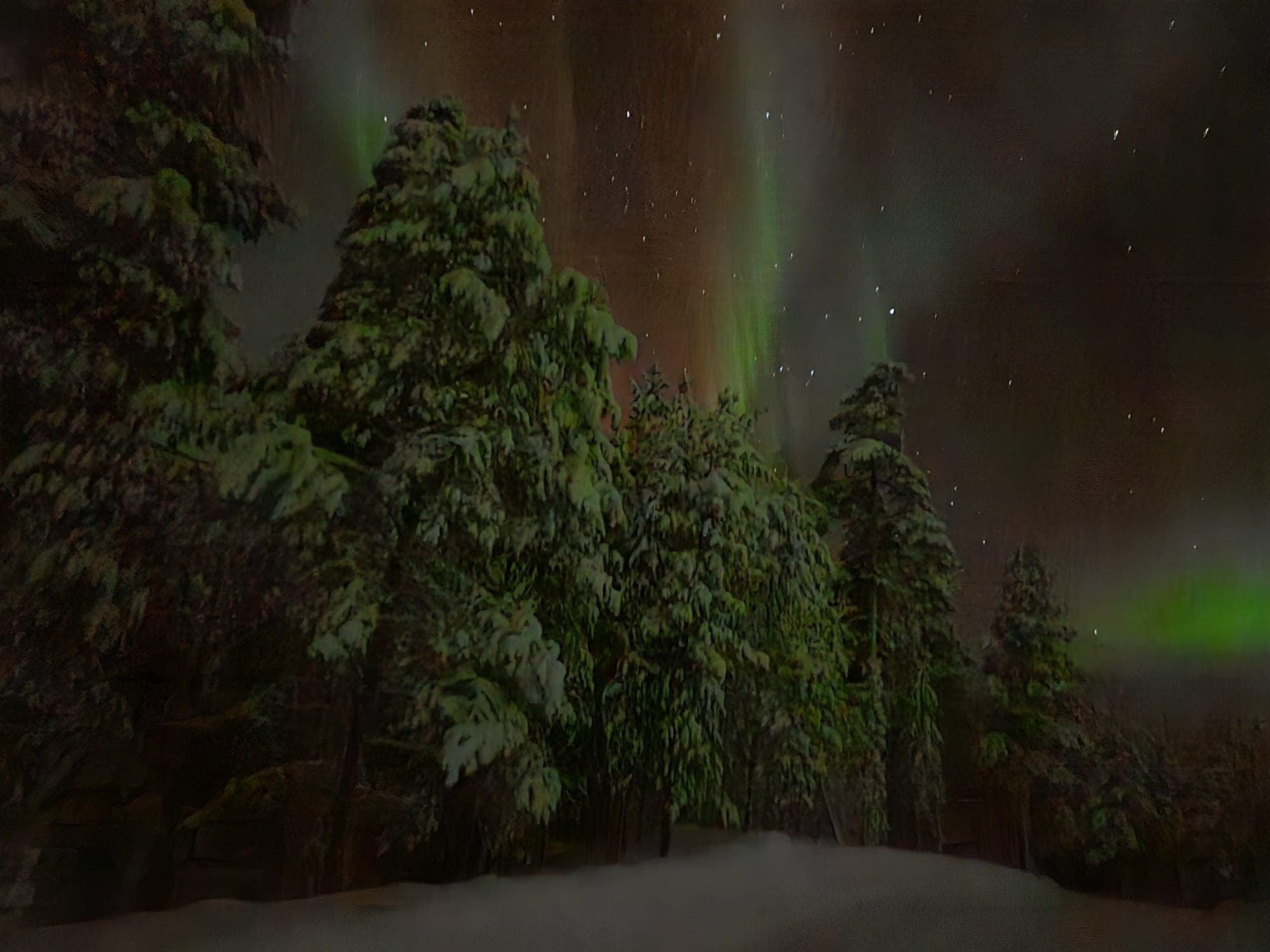 Aurora snowshoeing