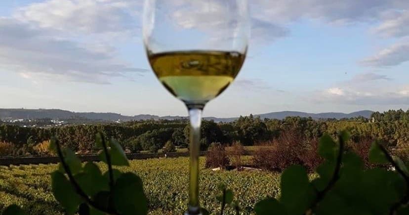 Penafiel Classic Wine Tasting - 3 Wines