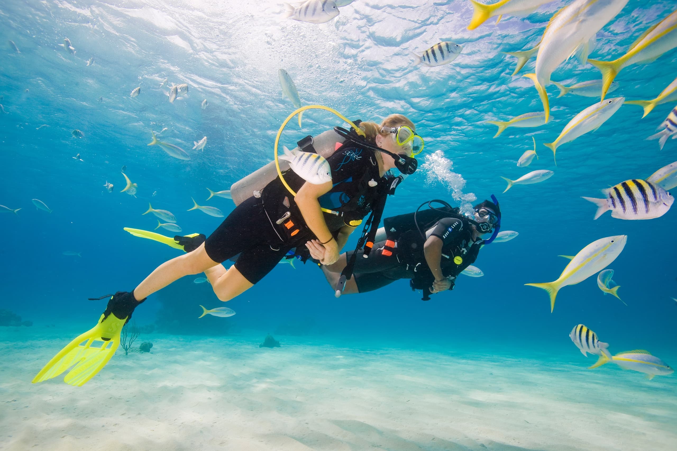 PADI Scuba Diver