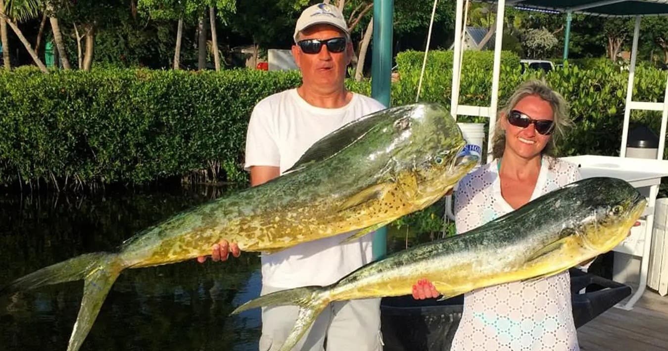 Islamorada Fishing Charter