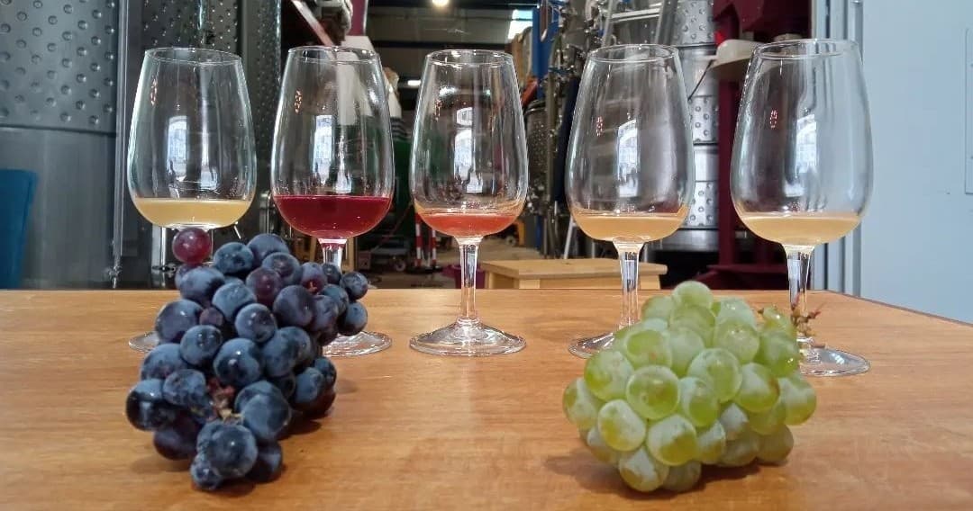 Lisbon Urban Winery Tour
