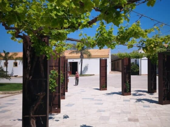Marsala tour: degustazione in cantina e tour della laguna di Mothia