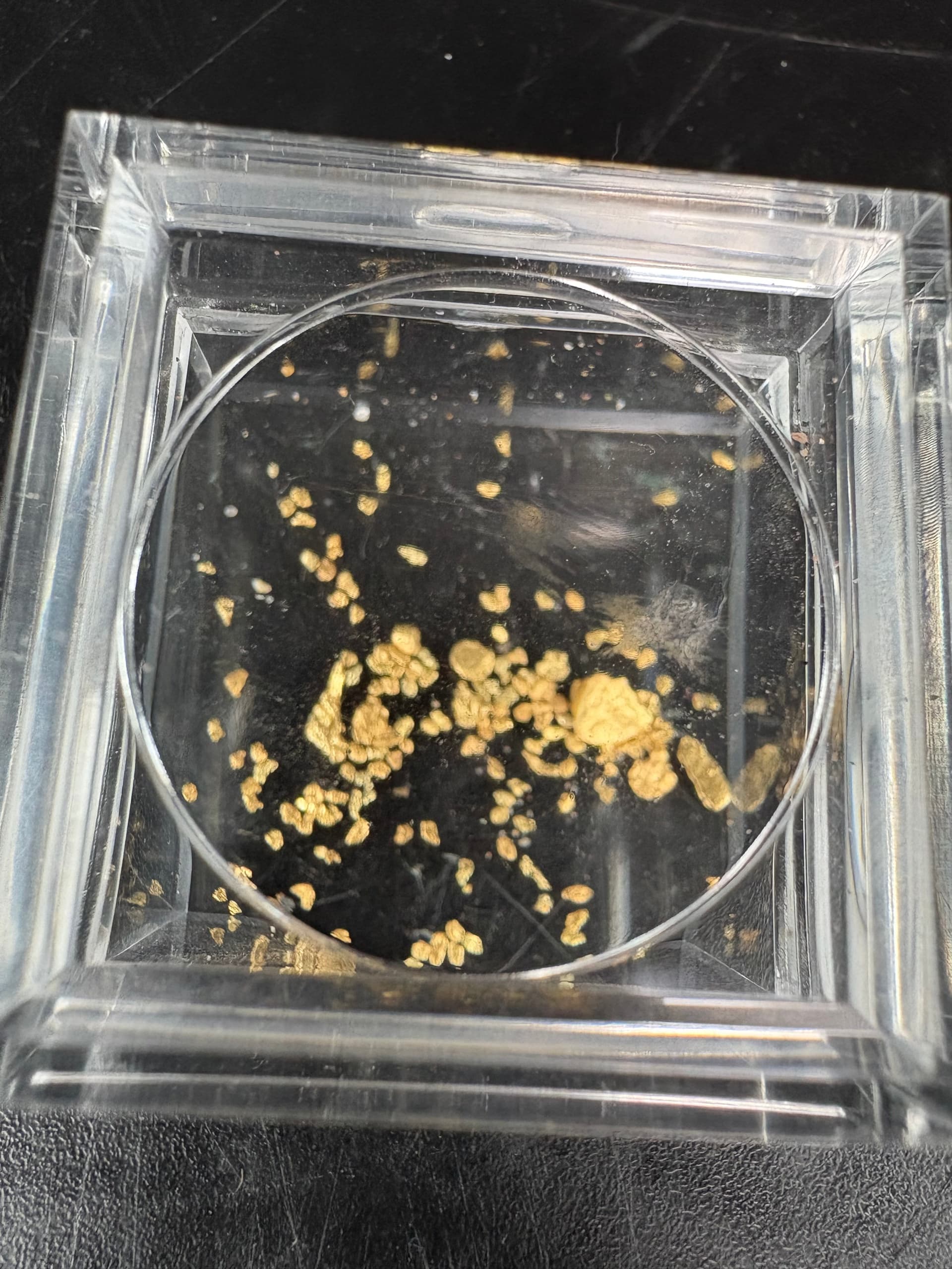 Private Gold Panning and City Tour