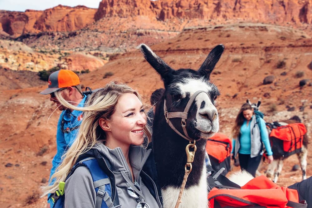 2 Hour Llama Hike