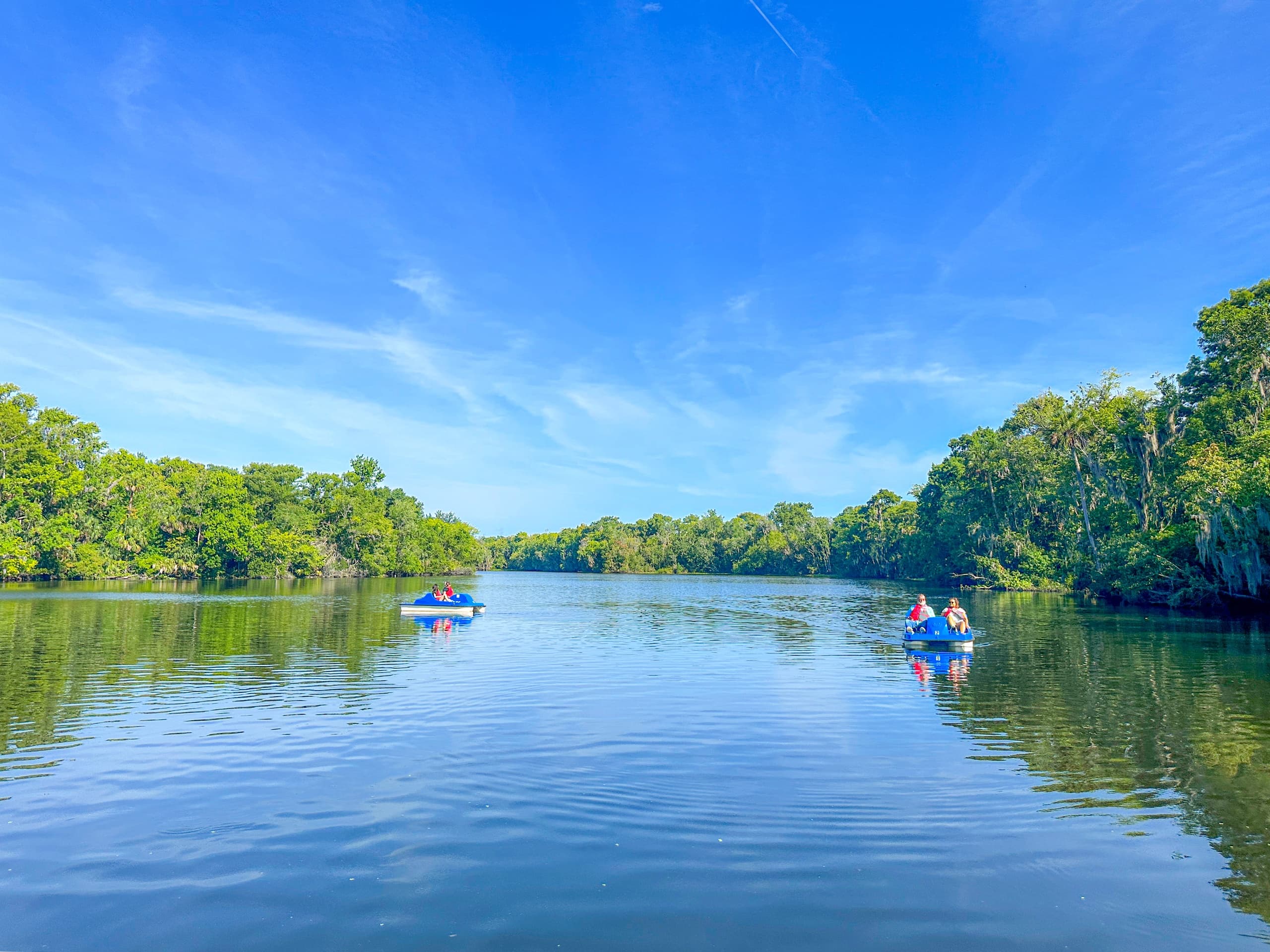 Pedal Boats