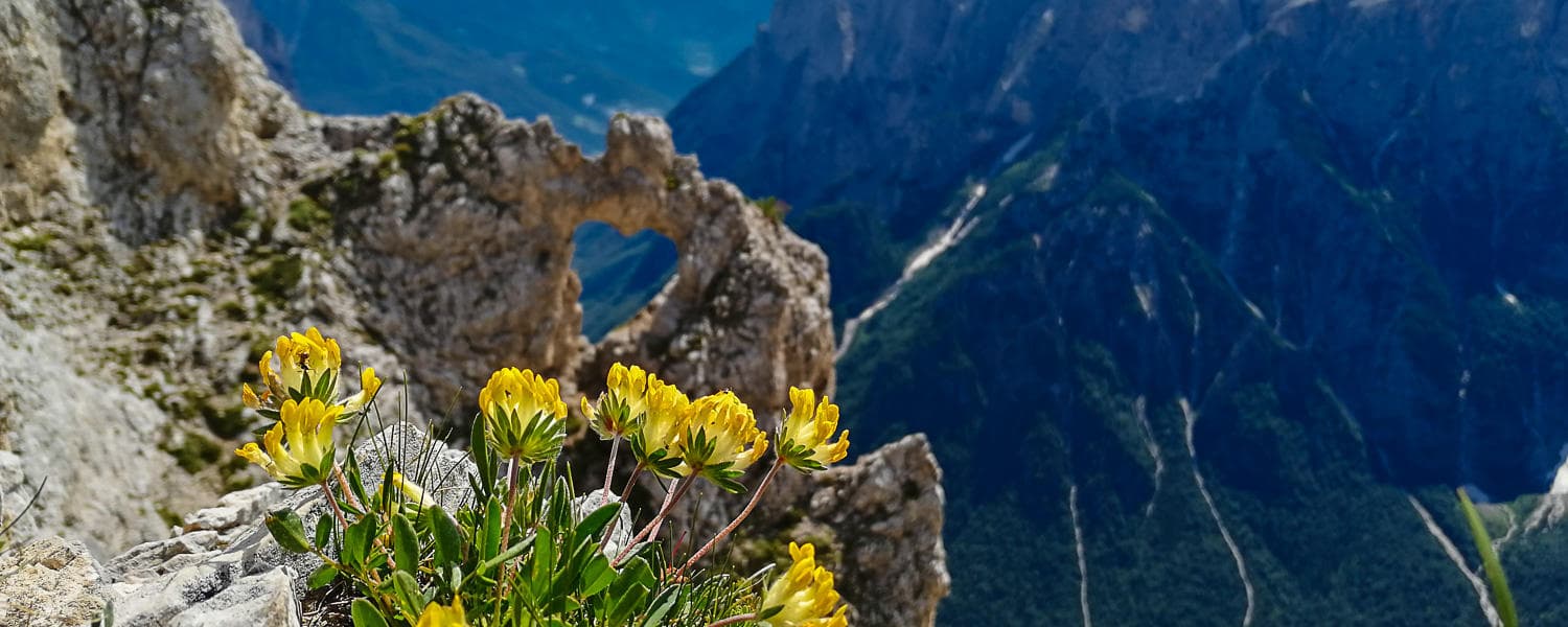 Cor di San Lucano