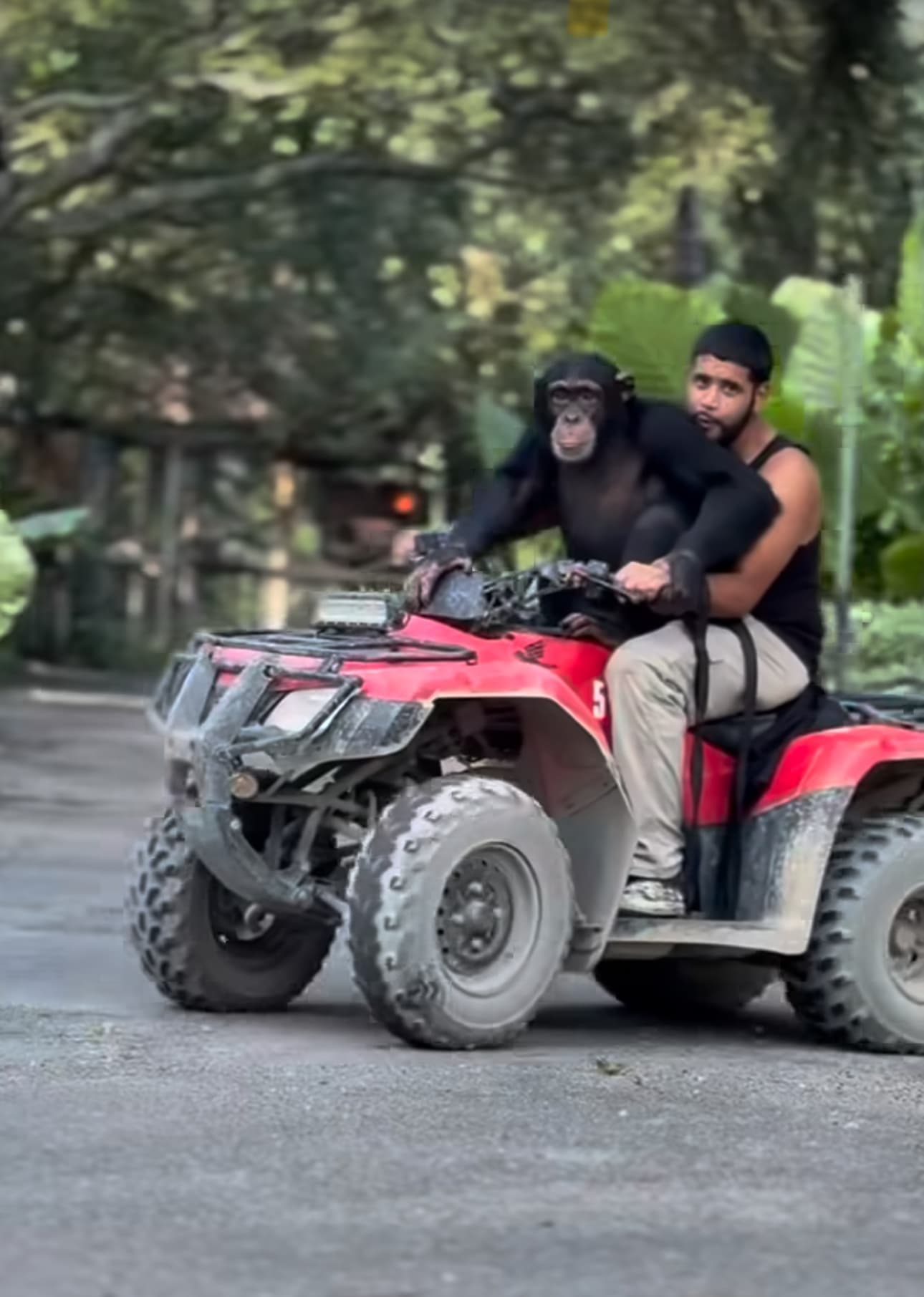 Exotic Wild life ATV Zoo Tour