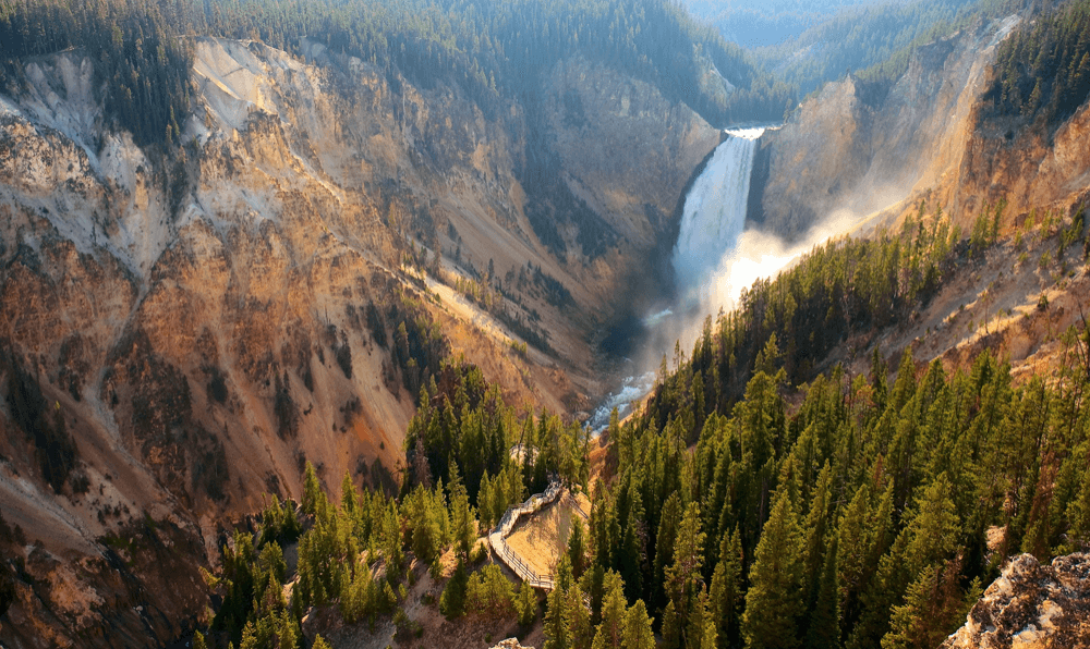 Yellowstone Lower Loop Tour (Big Sky, MT) - Private