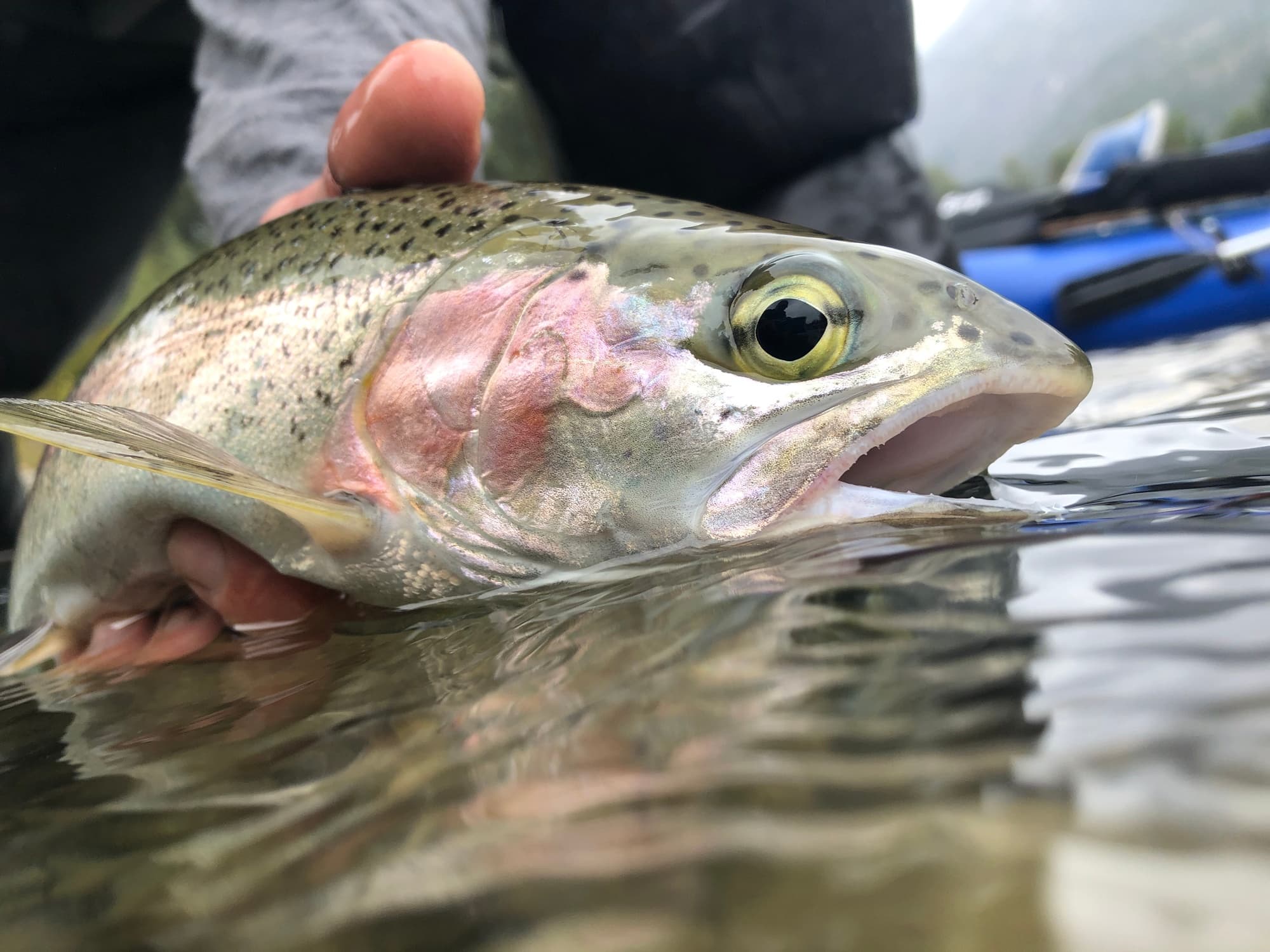 Guided fly fishing float  on the Stehekin River