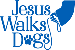 1/2 Hour Dog Walk