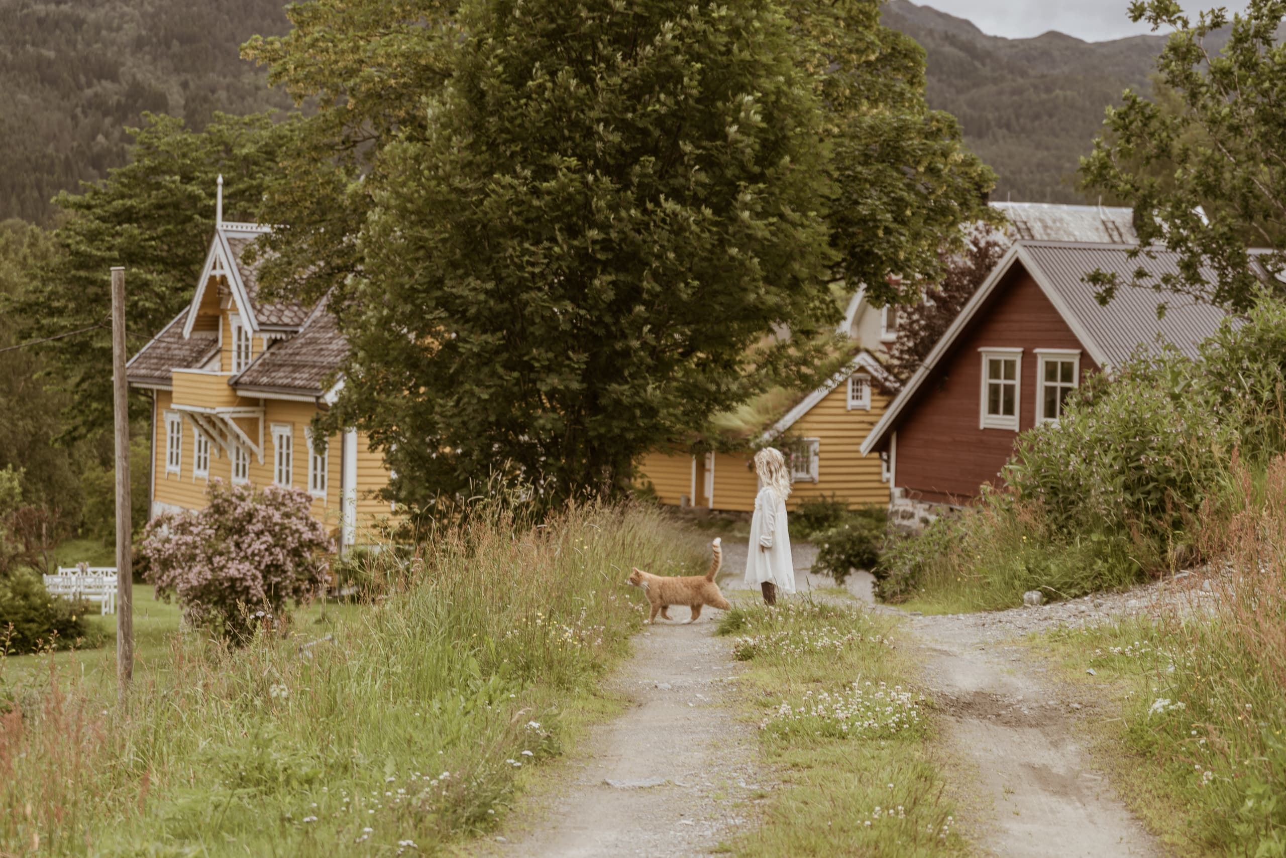 Nordfjord Farm Visit