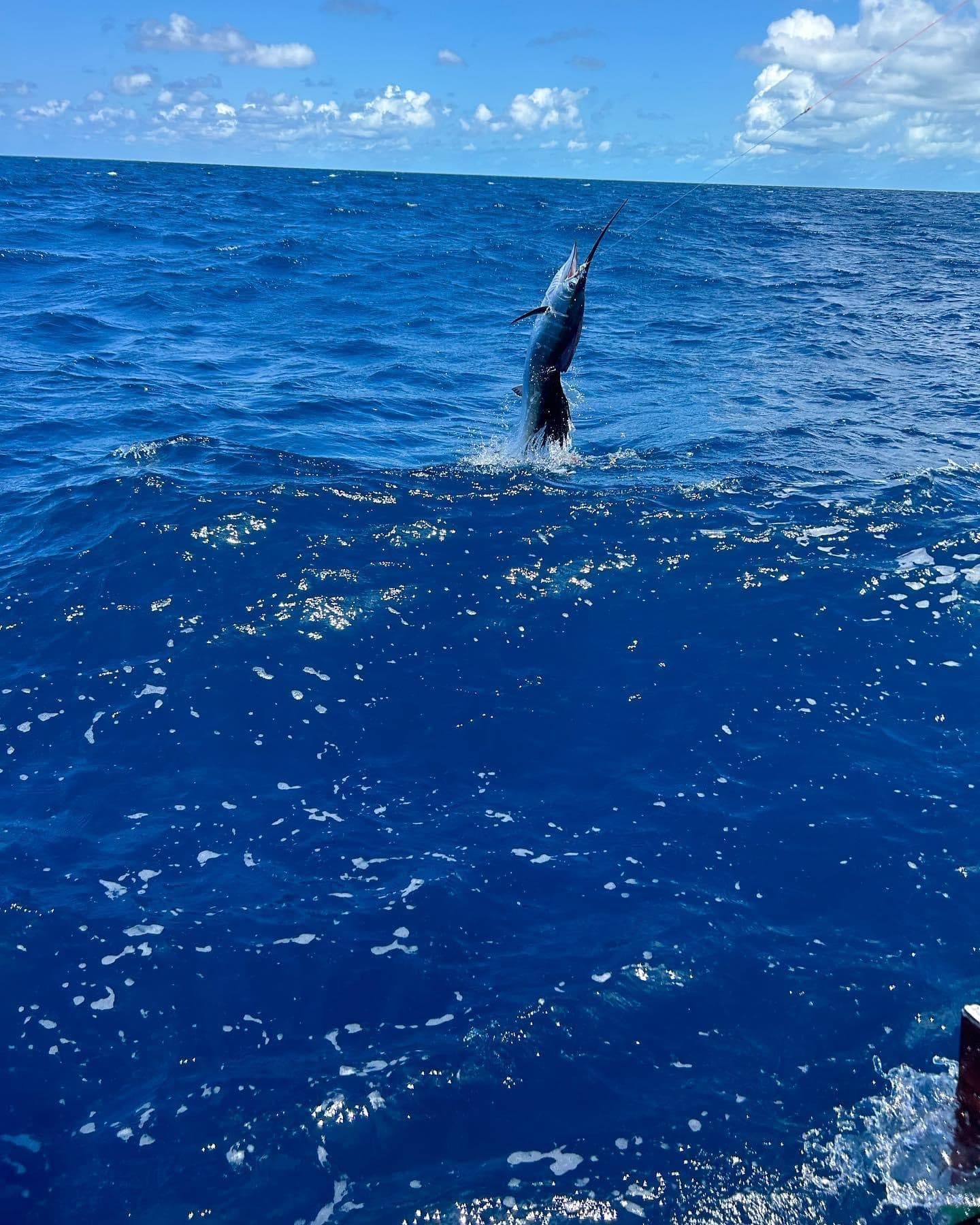 Full Day Private Fishing Charter