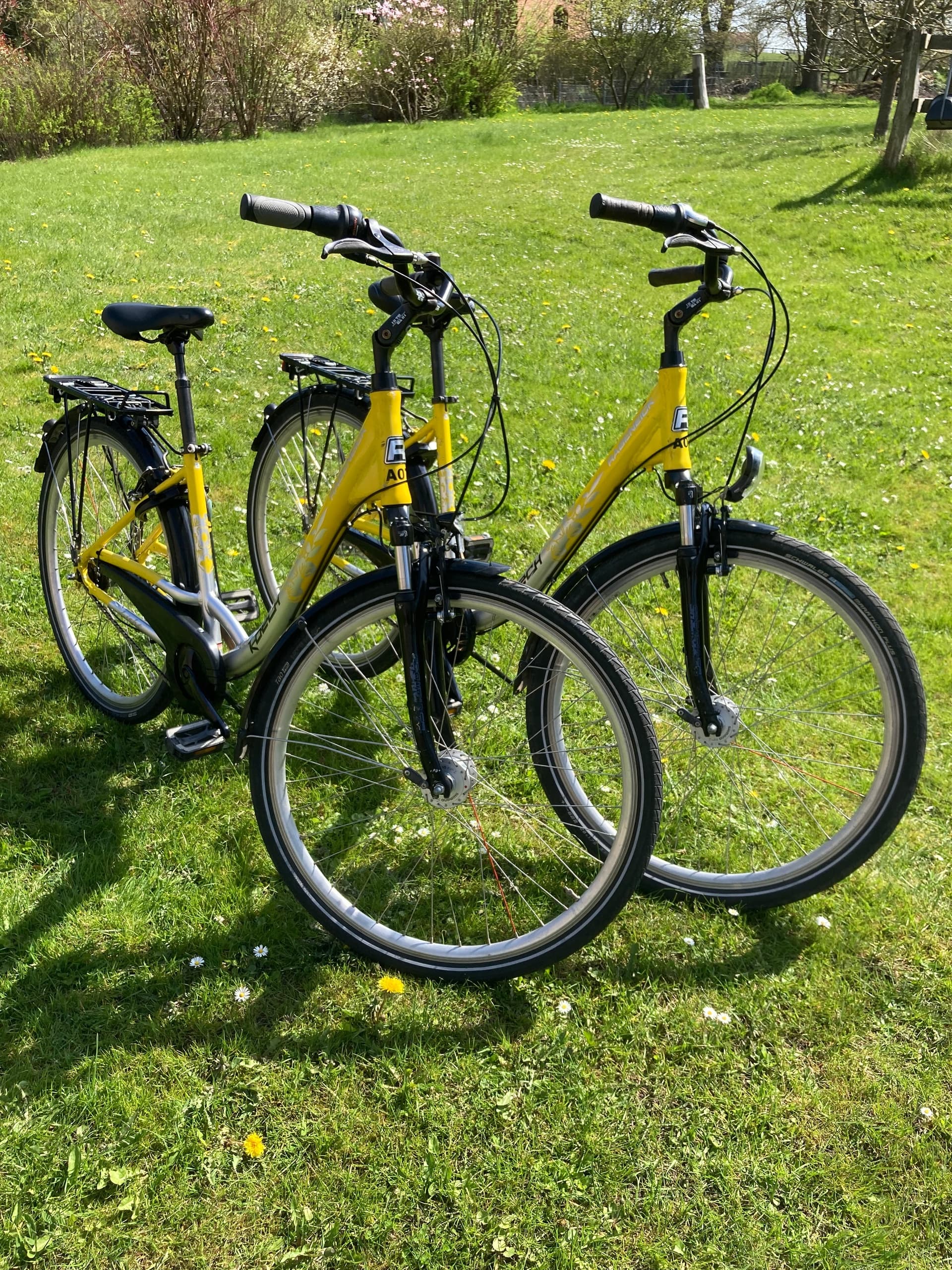 Mietfahrrad der Firma Koech SC