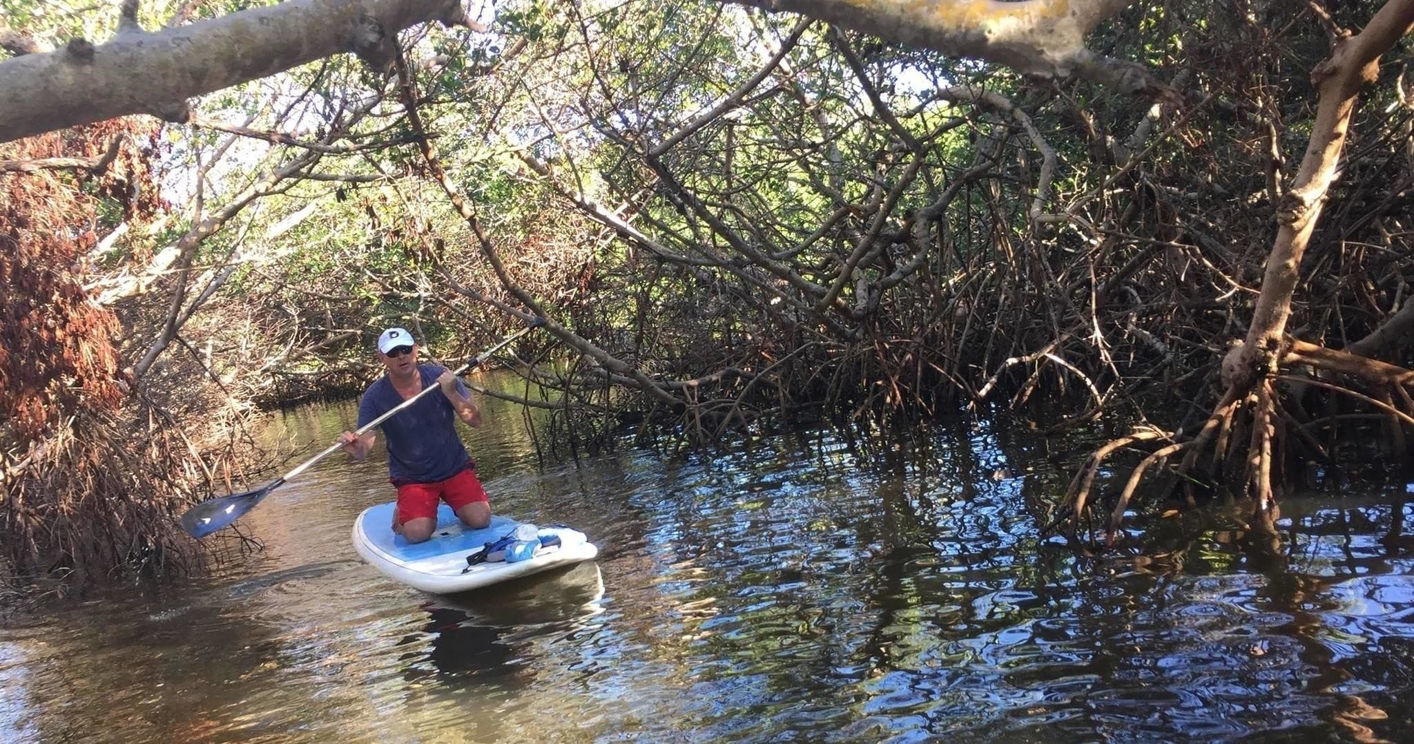 Mangrove Kayak/Paddleboard Eco Tour