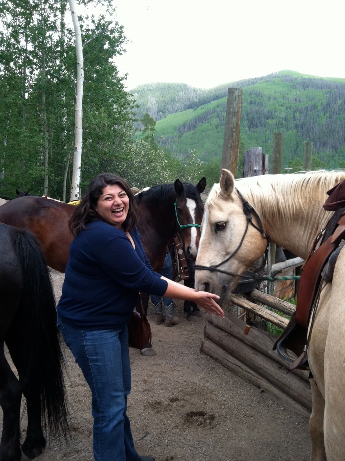 2 Hr. Horseback Ride