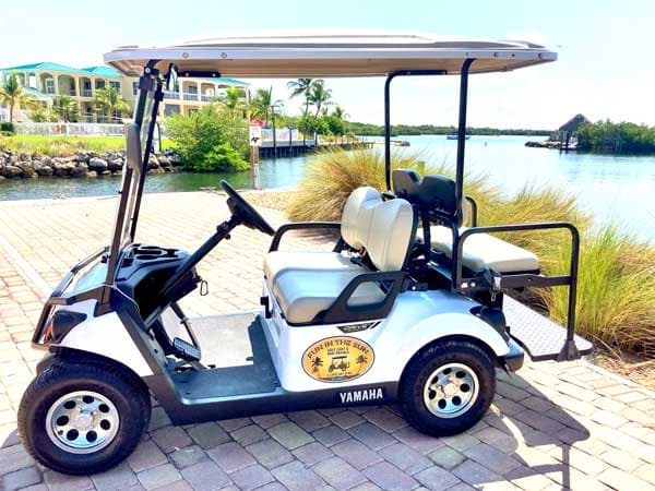 4 Seater Gas Golf Cart