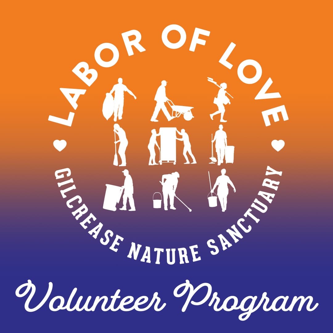 Labor of Love