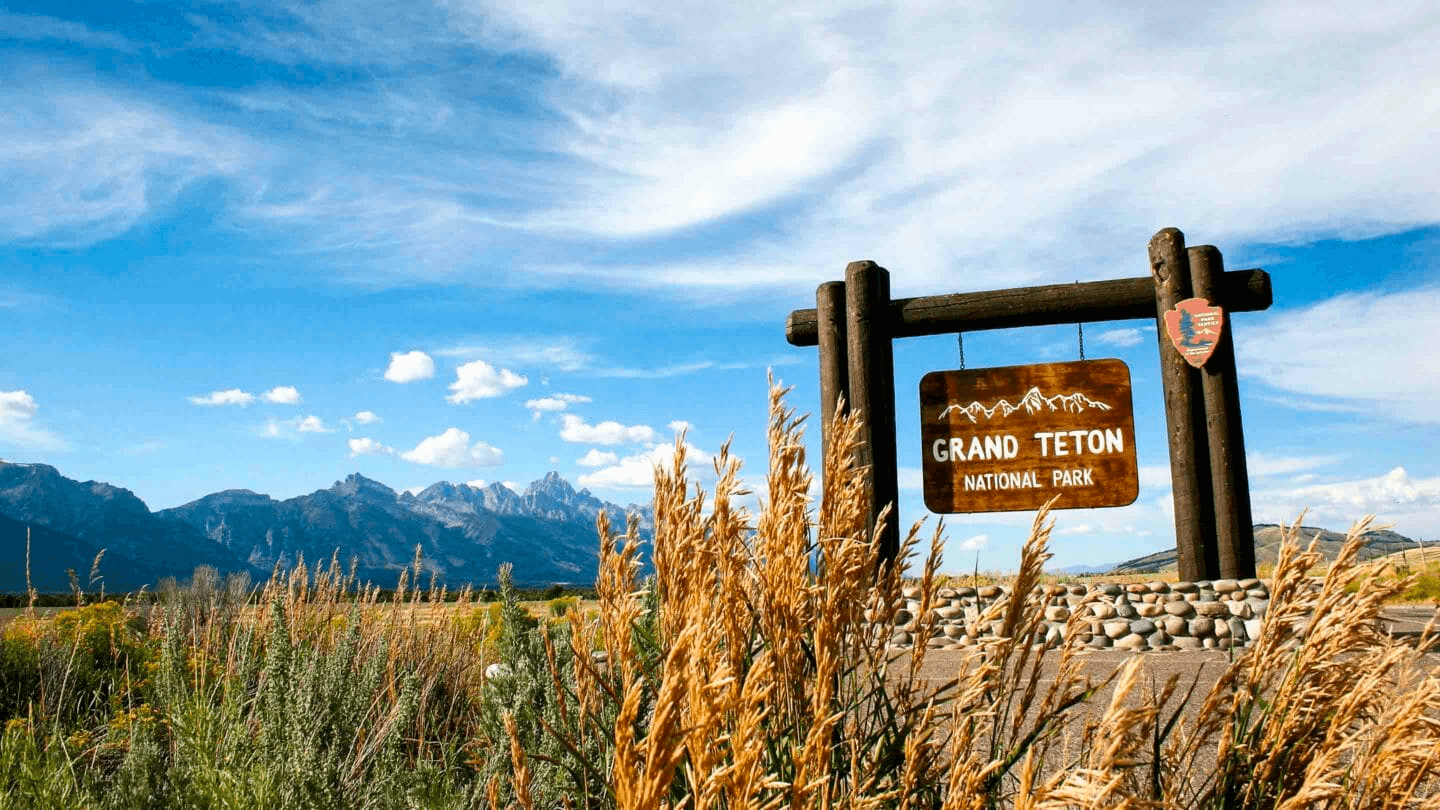 Grand Teton Wildlife Safari - Public Tour