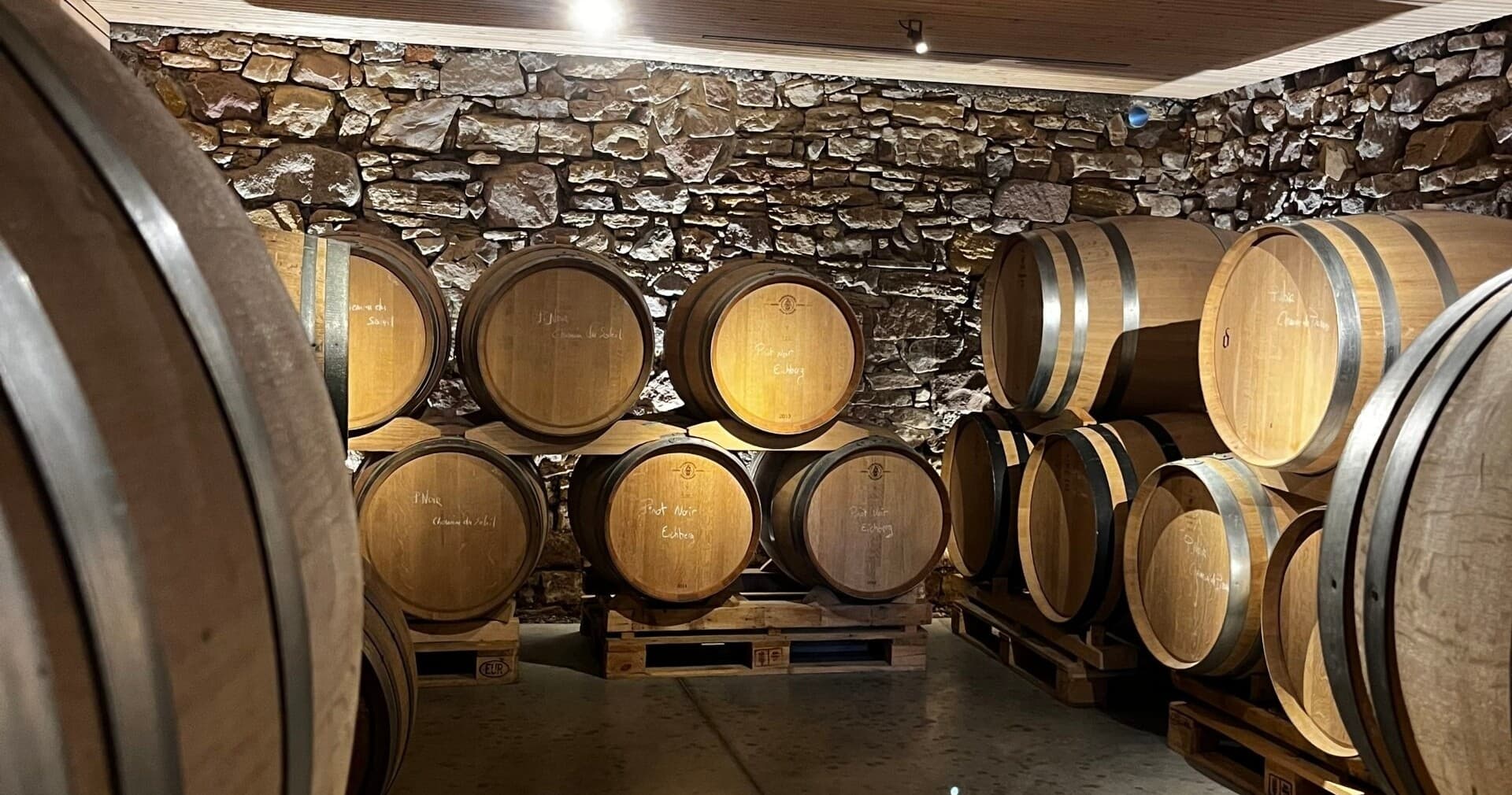 Alsace Wine Tour & Tasting