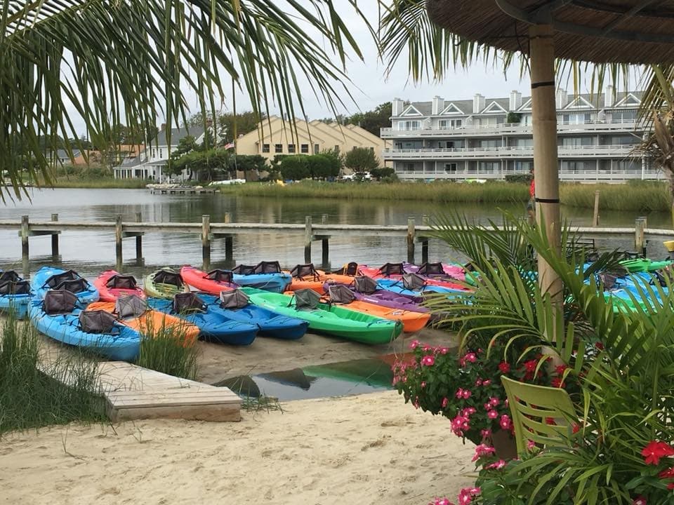Hourly Rentals Bayside Dewey Beach