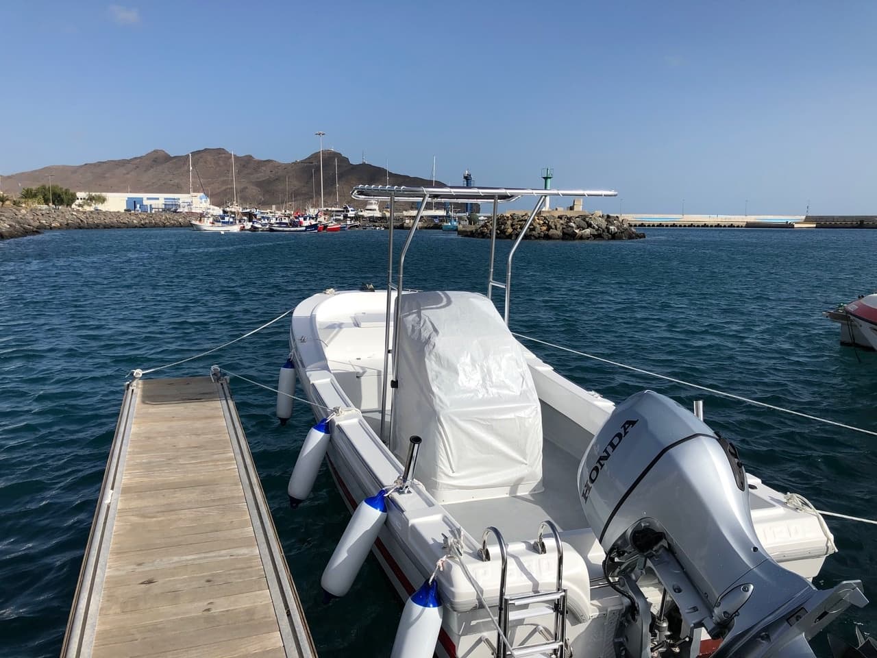 Flounder Motor Boat Transfer or Rental