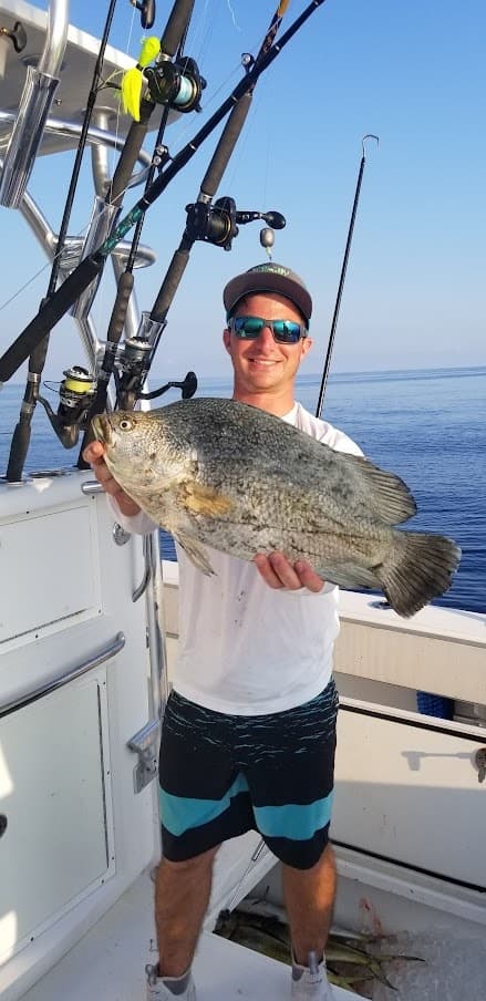 Full Day Reef/Wreck, Nauti Tuna