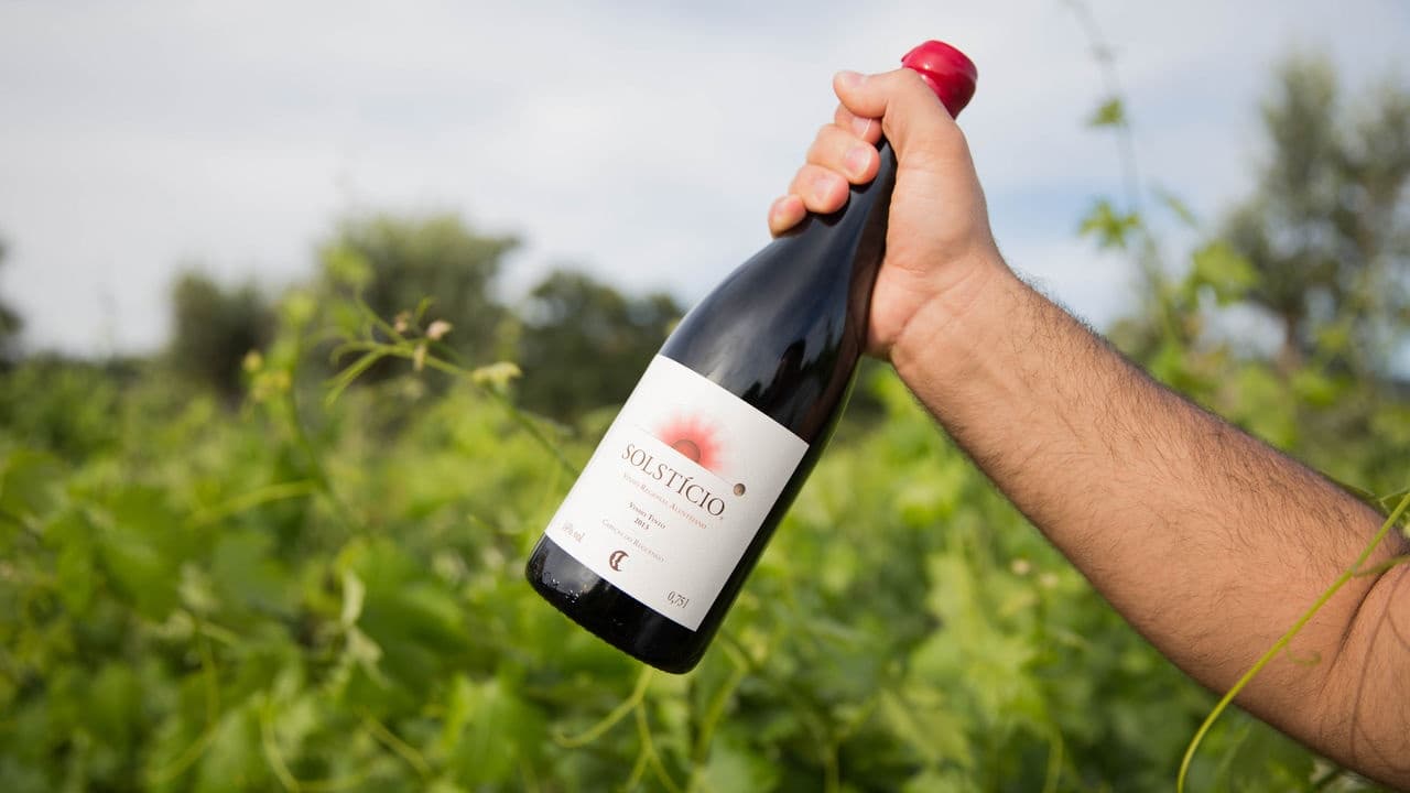 Portalegre Wine Experience - 5 Wines