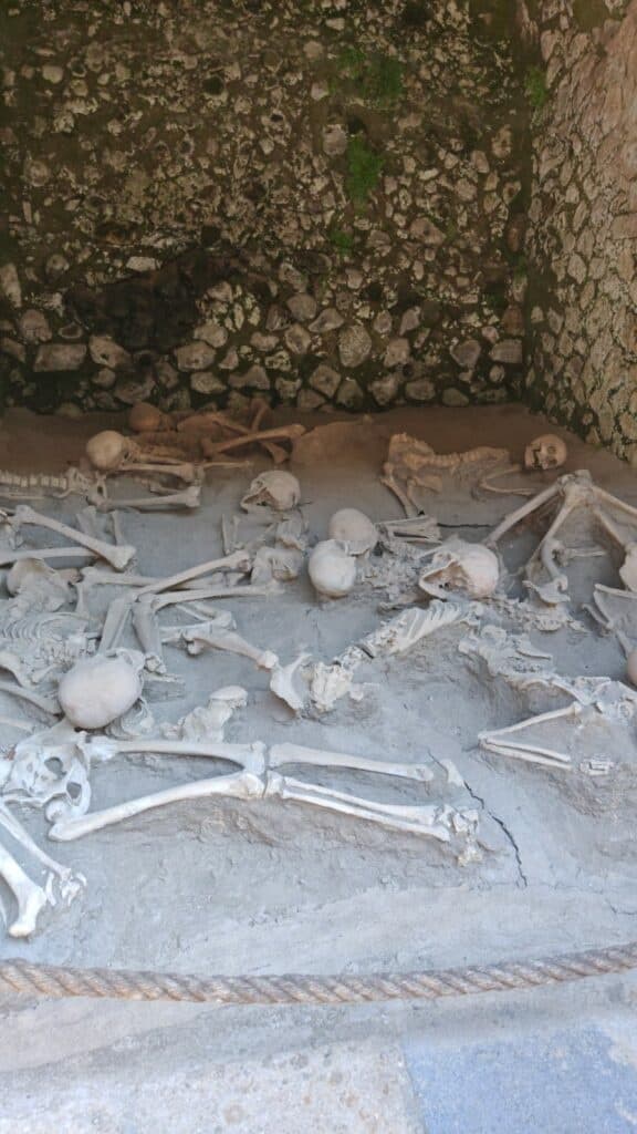Herculaneum and National Archaeological Museum of Naples