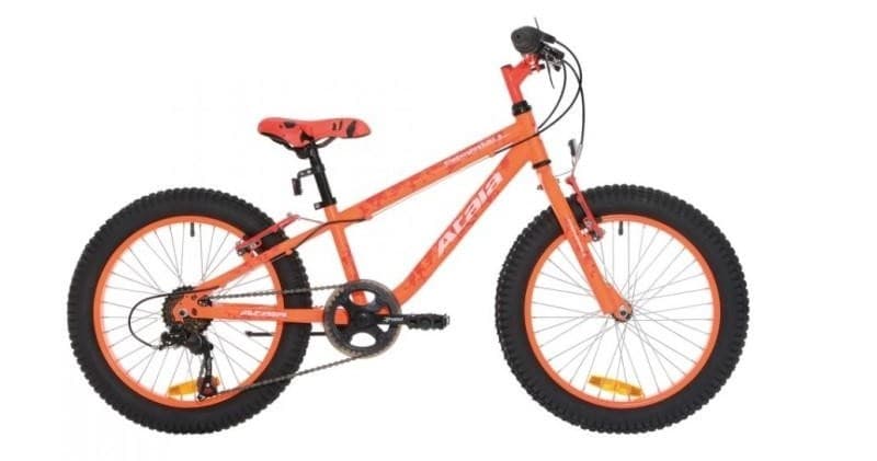 Bicicletta da Bambino - 1 Giorno