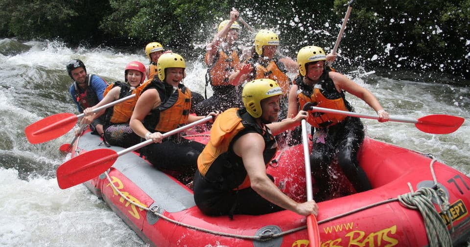 Rangitaiki - Grade 3-4