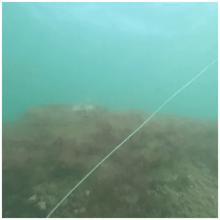 Open Water Scuba Class Combo