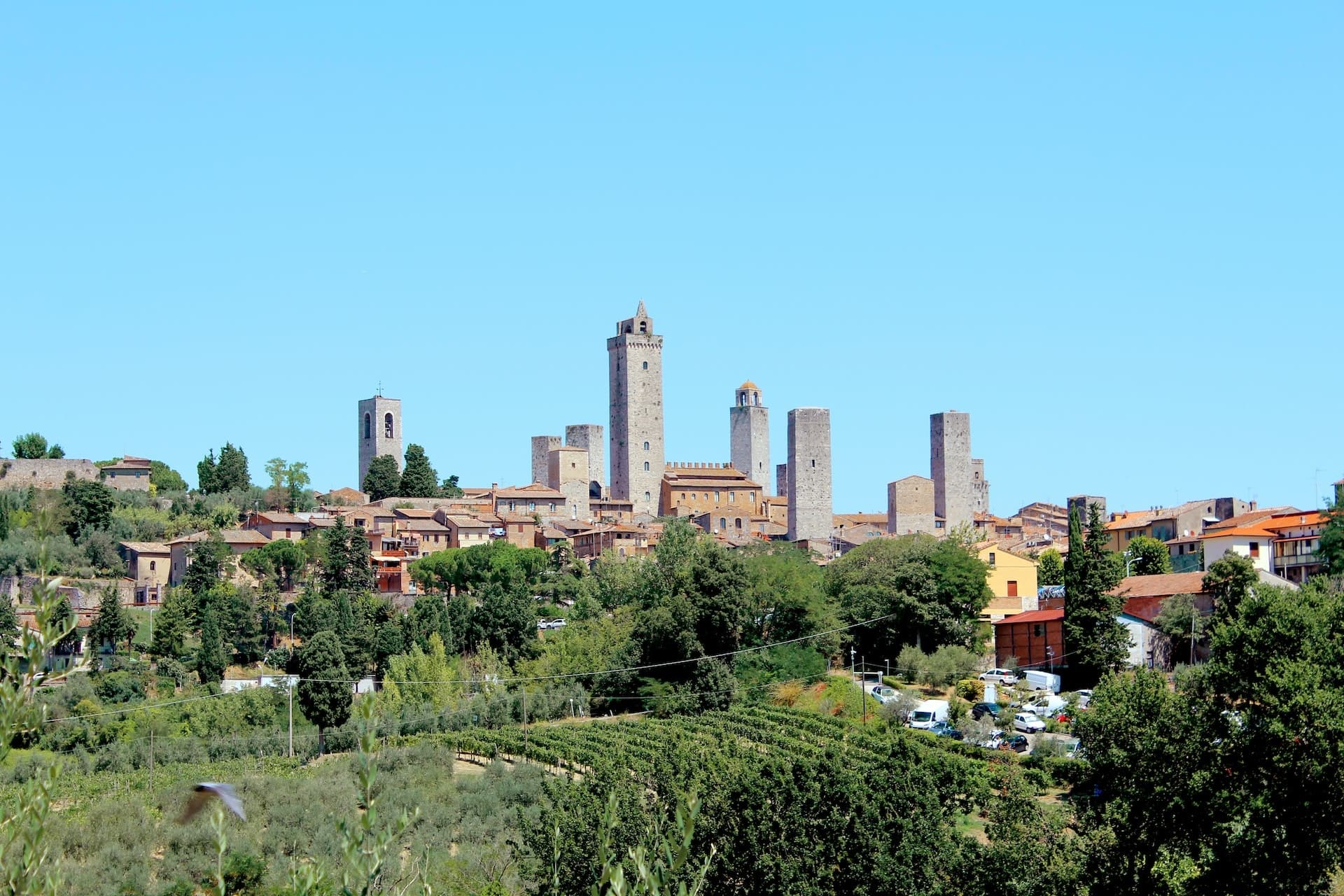 Day tour in Siena and more