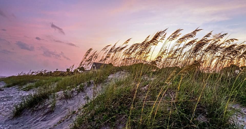 Beach Gear Rental • Three Days