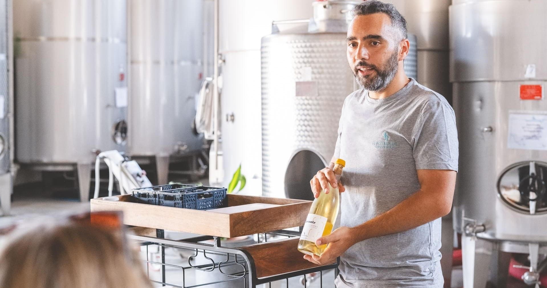 Sicily Winemaker Morning Experience