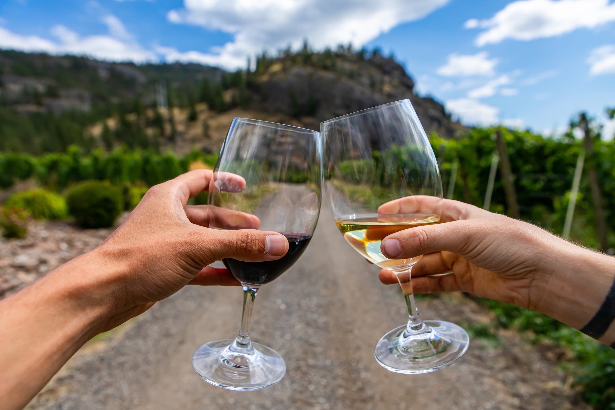A Taste Of Spring" UTV + Wine Tasting Tour"