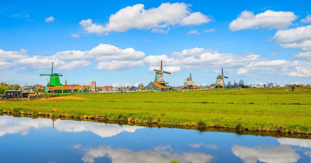Excursión Molinos Zaanse Schans